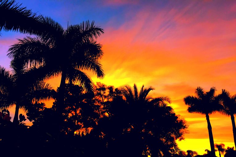 10 Reasons to Fall in Love with Barbados