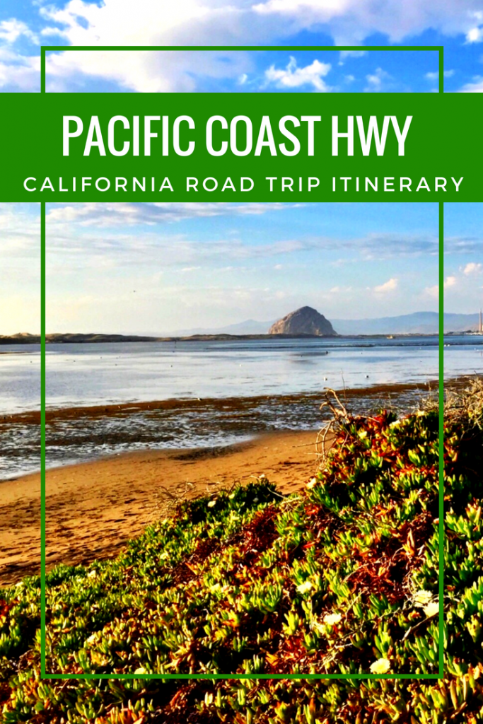 Plan the perfect 8 day Pacific Coast Highway road trip itinerary! Discover the wonders of San Francisco down to San Diego! #california #roadtrip #PCH #pacificcoasthighway #sanfrancisco #napa #carmelbythesea #bigsur #bixbybridge #mcwayfalls #morrobay #solvang #venicebeach #sandiego #lajolla