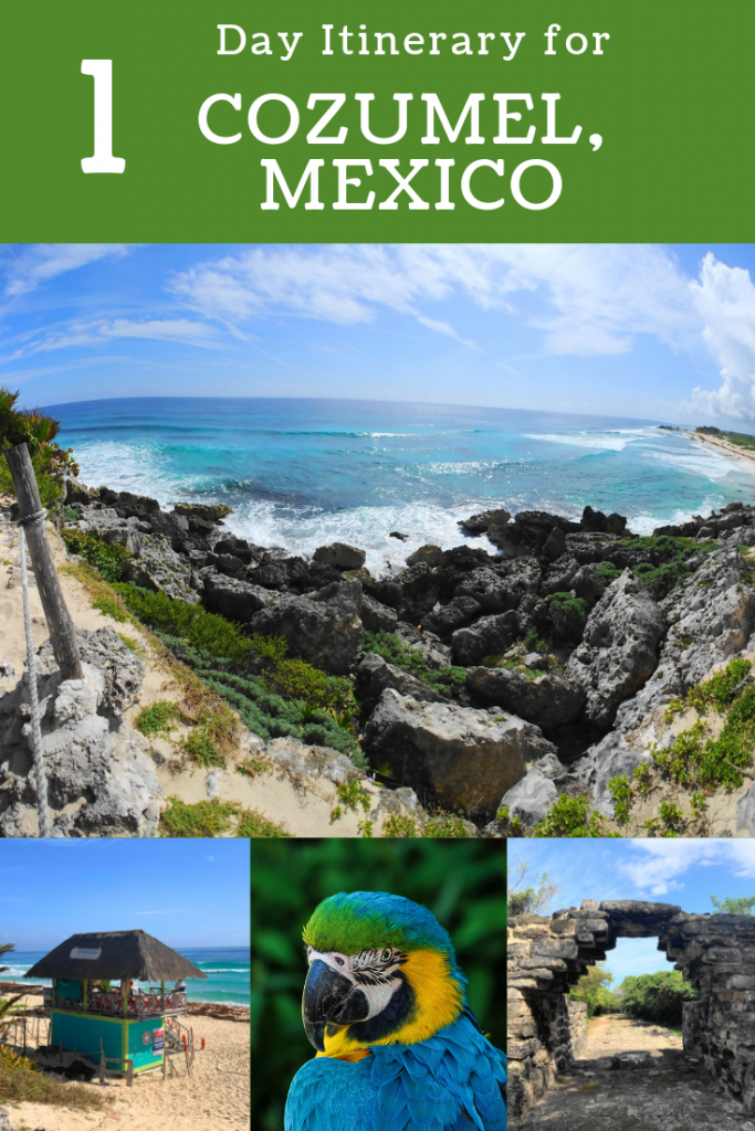 Plan the perfect 1 day in Cozumel, Mexico! These photos will show you why this paradise needs to be your next vacation! #cozumel #mexico #visitcozumel