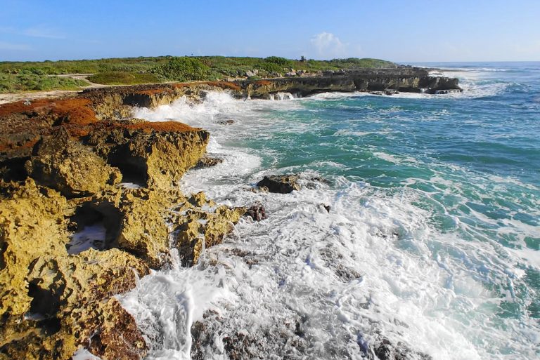 Plan the perfect 1 day in Cozumel, Mexico! These photos will show you why this paradise needs to be your next vacation!