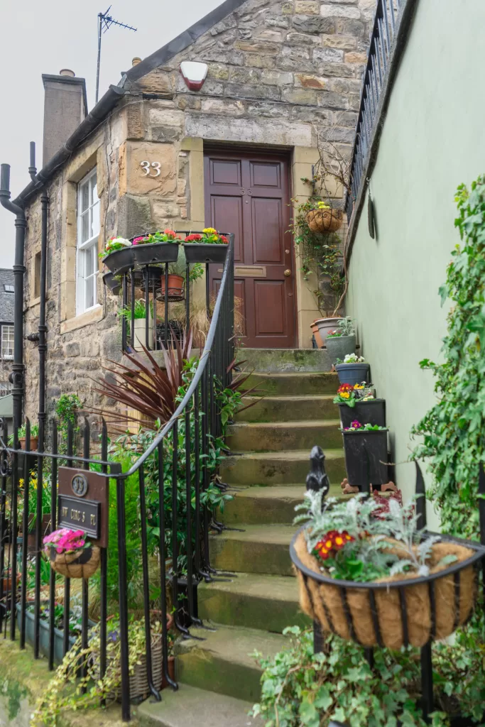 potted plants in Edinburgh, Scotland - one of the top photo spots in Edinburgh for Instagram